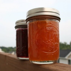 Apricot Jam