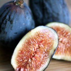 Fig Fest