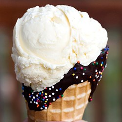 Toasted Coconut Ice Cream