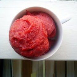 Champagne Strawberry Sorbet