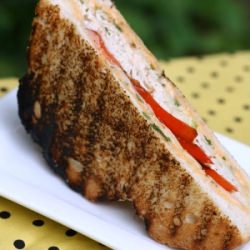 Southwest Turkey Panini