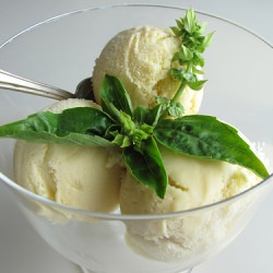 Mango-Coconut Ice Cream