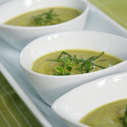 Zucchini Soup