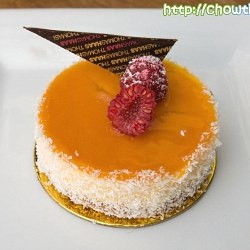 Exotic Cheesecake