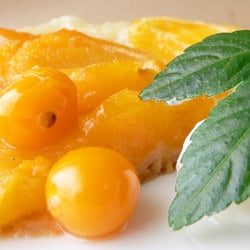 Apricot & Physalis Tarte Tatin