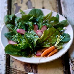 Edible Carrot Top Salad