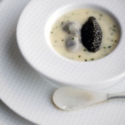 Oysters & Pearls
