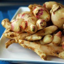 Spicy Sweet Find: Fresh Ginger!!