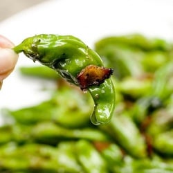 Bacon Basil Shishito Peppers