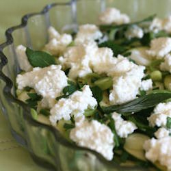 Carpaccio of Raw Zucchini