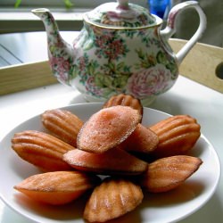 Rose Madeleines