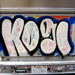 Kogi
