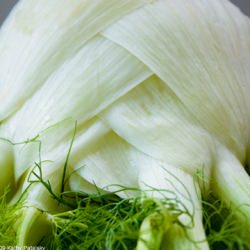 Monster Market Fennel