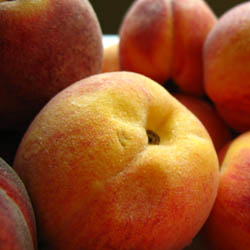 Peaches to be Frittered