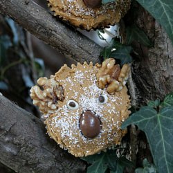 Koala Cupcakes RSPCA cupcake Day