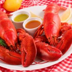 How to Cook Lobster