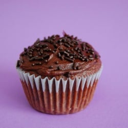 Chocolate Chocolate Cupcakes