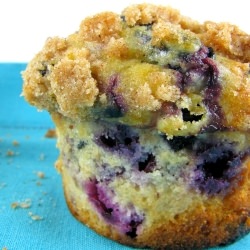 Blueberry Muffin