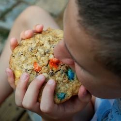 Trail Mix Freezer Cookies