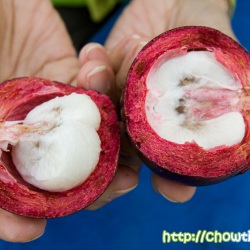 Mangosteen, The Queen of Fruit