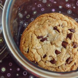Almost Perfect Choco Chip Cookie