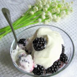 Blackberries in Chantilly Creme