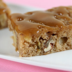 Applesauce Spice Bars