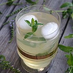 Mint Cordial