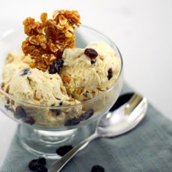 Oatmeal-Raisin Ice Cream