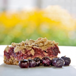 Double Berry Crumble Squares