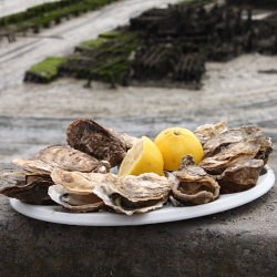 Cancale’s Oysters