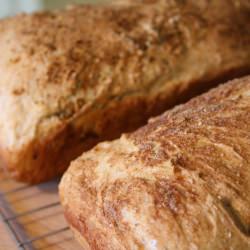 No-Knead Whole Wheat Bread