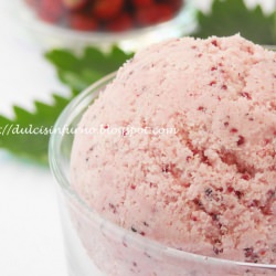 Gelato alle Fragoline di Bosco