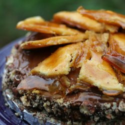 Dobos Torta
