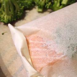 Salmon en Papillote