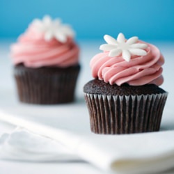 Kara’s Cupcakes