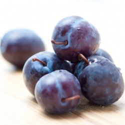 Childhood Memory – Italian Plums