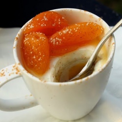 Panna Cotta