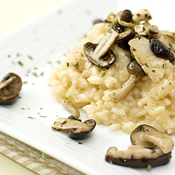 Mushroom Risotto