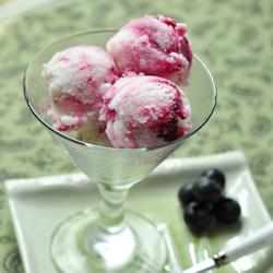 Lemon Blueberry Swirl Sherbet