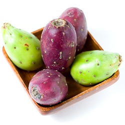 Cactus Salad