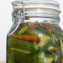 Spicy Dill Quick Pickles