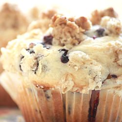 My Daughter’s Blueberry Muffins~
