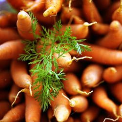 Carrots!