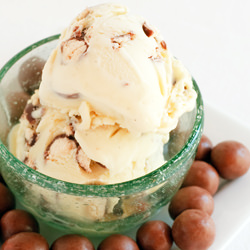 Malted Milk Gelato