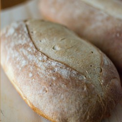 Italian Bread