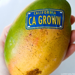 Organic California Mangoes