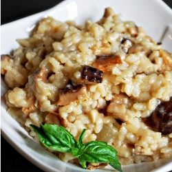 Mushroom Risotto