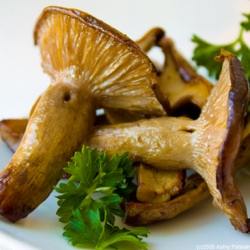 Cook Gourmet Menu Ingredients
