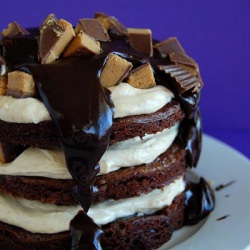 Peanut Butter Cup Brownie Torte